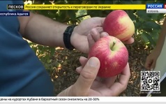 Эфир от 27.08.2026 (17:30)
