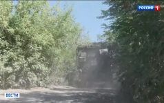 День военного медика