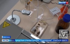 Эфир от 27.08.2026 (21:10)