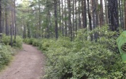 Эфир от 28.08.2026 (11:30)