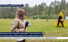 Четвероногие спортсмены. В Иркутском округе проходит чемпионат СФО по спортивно-прикладному собаководству