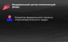 Россия в цифрах. Федеральный проект "Производительность труда"