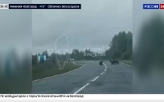 В разных регионах России зафиксирована серия новых нападений и выходов медведей к людям
