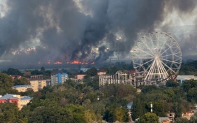 Пожар в Анапе локализовали на большей части территории