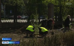 В Челябинске высадили новую аллею возле легкоатлетического манежа