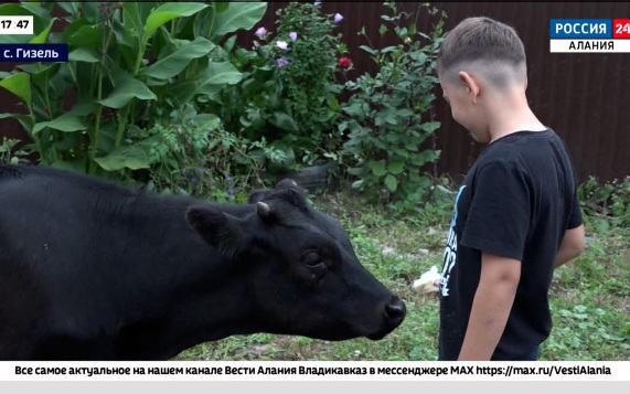 Эфир от 31.08.2026 (17:40)