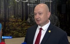 ВЭФ-2026 стартовал на Русском острове: день первый