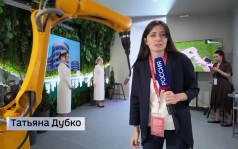 ВЭФ-2026: море обнимает тайгу в павильоне Приморья на «Улице Дальнего Востока»