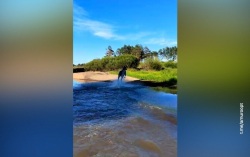Лося за водными процедурами запечатлел охотовед Ульминского заказника
