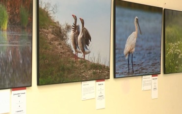 30 фоторабот о красотах России представлены на выставке в Йошкар-Оле
