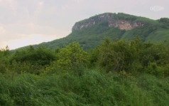 Псебай (Краснодарский край)