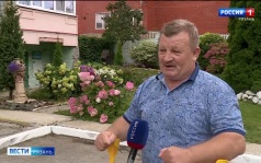 В Рязани выбирают лучший двор