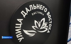 Восточный порт предложил инновационные решение в вопросе железнодорожных грузоперевозок