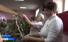 Очередную гуманитарную миссию организовали с помощью первых лиц страны жители Черемхово