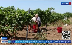 Эфир от 04.09.2026 (21:10)