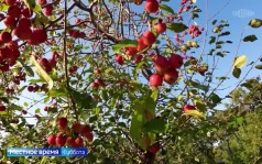 Эфир от 05.09.2026