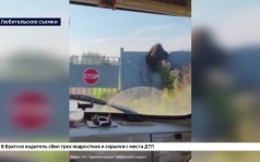 У детского сада в Ангарске ночью заметили медведя