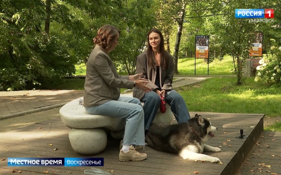 Первая авторская гонка по бесснежному ездовому спорту состоялась в Хабаровске