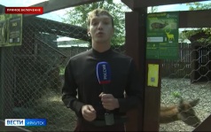 Прямое включение: излишки урожая на корм животным начали принимать в Иркутском зоосаде
