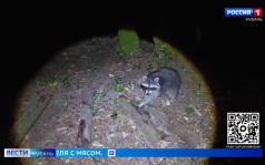 Эфир от 07.09.2026 (21:10)