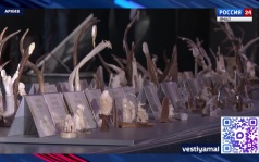 Вероника Мокрицкая — о международной выставке-конкурсе косторезного искусства "Душа Севера"