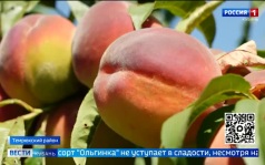 Эфир от 08.09.2026 (21:10)
