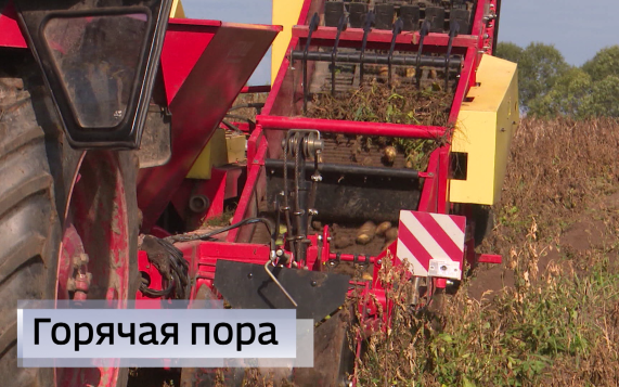 Эфир от 08.09.2026 (21:10)
