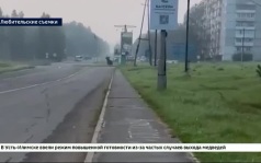 Режим повышенной готовности для всех служб ввели в Усть-Илимске из-за медведей