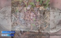 Родственники погибшего в годы Великой Отечественной войны солдата Красной армии нашлись