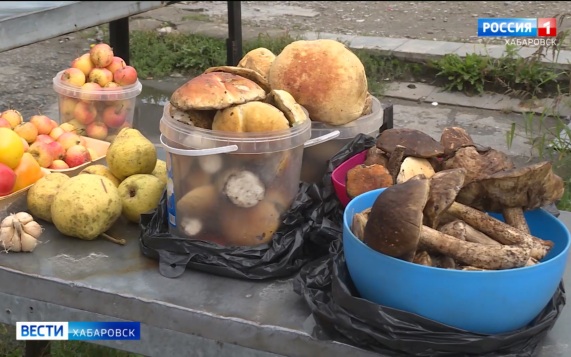 «Очень много в этом году, на любой вкус»: в Хабаровском крае – настоящий грибной бум