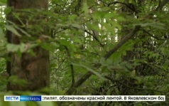 Эфир от 10.09.2026 (11:30)