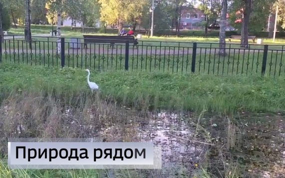 Эфир от 09.09.2026 (21:10)
