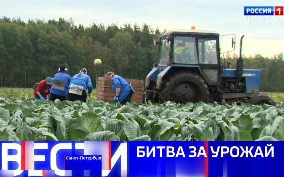 Эфир от 10.09.2026 (21:10)