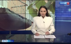 «Вести-Карелия». 10.09.26