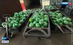 Техасские полицейские нашли в капусте почти тонну метамфетамина