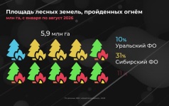 Какие регионы пострадали от лесных пожаров?