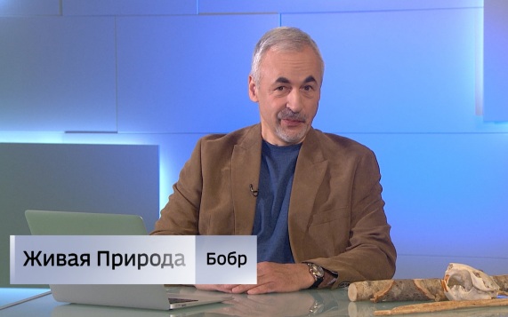 Живая природа. "Бобр". Эфир от 12.09.2026