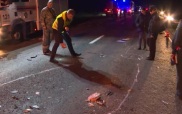 Тринадцать человек погибли в ДТП на трассе "Холмогоры"