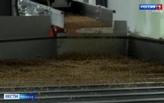 В Рассказове открыли семенной завод