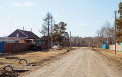 В двух селах Приамурья отменили карантин по бешенству