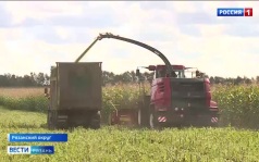 Рязанские аграрии соберут урожай кукурузы новыми белорусскими комбайнами