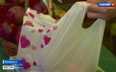 В Мичуринске развернулась большая праздничная ярмарка