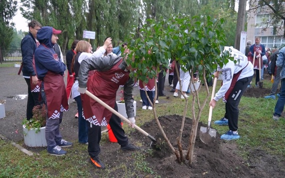 Участники Всероссийского конкурса "Учитель года - 2026" высадили в Белгороде аллею сирени