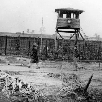 Борис Гуськов: 40 лет спасения жизней