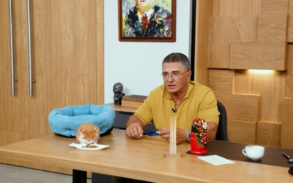 Домашняя аптечка, боль в суставах, псевдопродукты. 19.09.2026