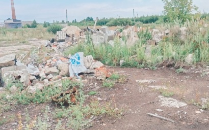 Убрать несанкционированную свалку обязали арендаторов участка в Медведеве