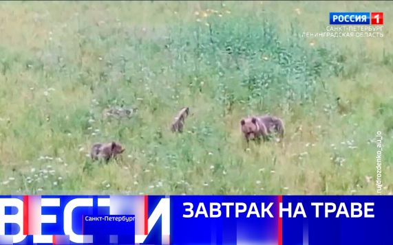 Эфир от 19.09.2026 (21:10)