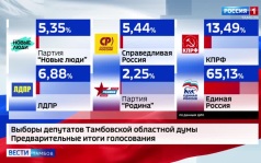 Предварительные итоги выборов