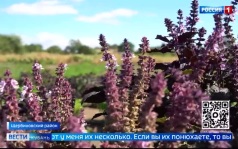 Эфир от 21.09.2026 (11:30)