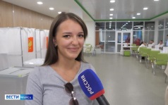 На выборах курянам помогал проголосовать кот Тони Старк